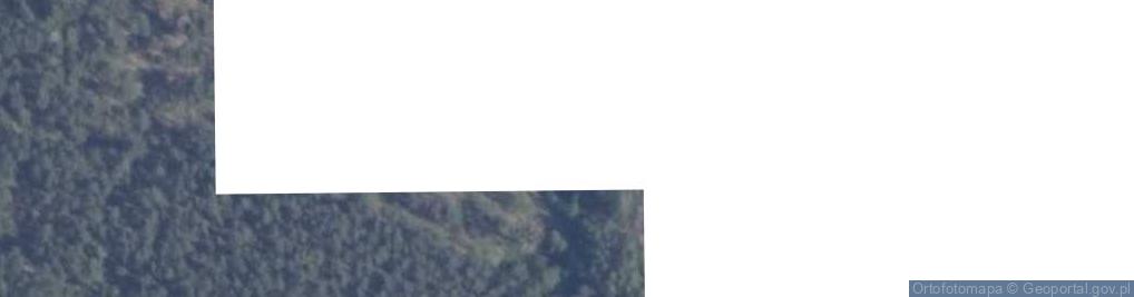 Zdjęcie satelitarne Trzechowo ul.