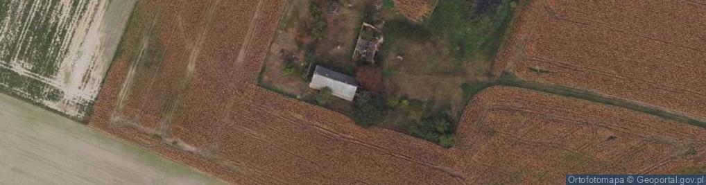 Zdjęcie satelitarne Trzeciewiec ul.