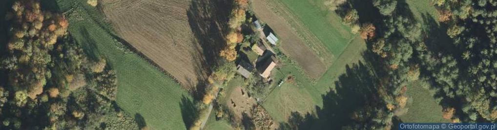 Zdjęcie satelitarne Trzemesna ul.
