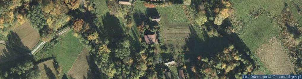 Zdjęcie satelitarne Trzemesna ul.