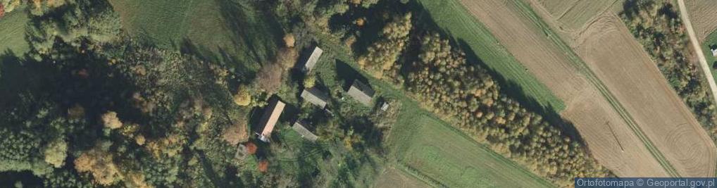 Zdjęcie satelitarne Trzemesna ul.