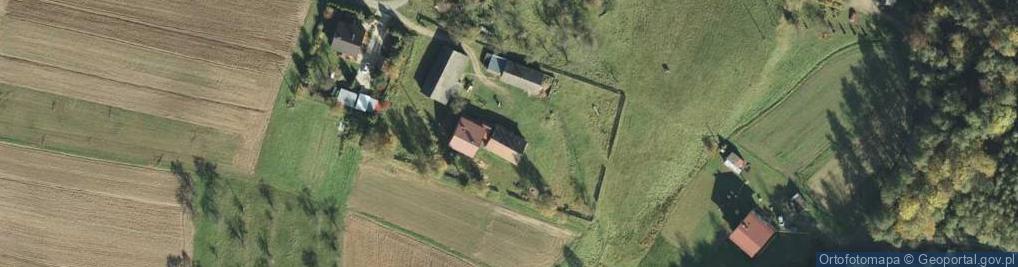 Zdjęcie satelitarne Trzemesna ul.