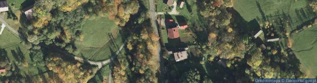 Zdjęcie satelitarne Trzemesna ul.