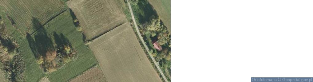 Zdjęcie satelitarne Trzemesna ul.