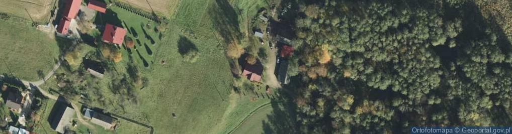 Zdjęcie satelitarne Trzemesna ul.