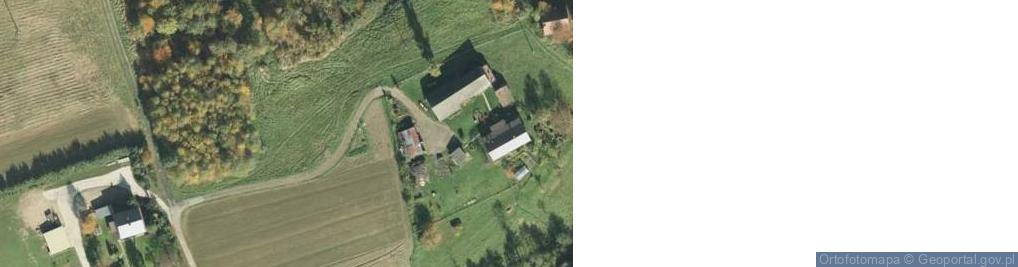 Zdjęcie satelitarne Trzemesna ul.