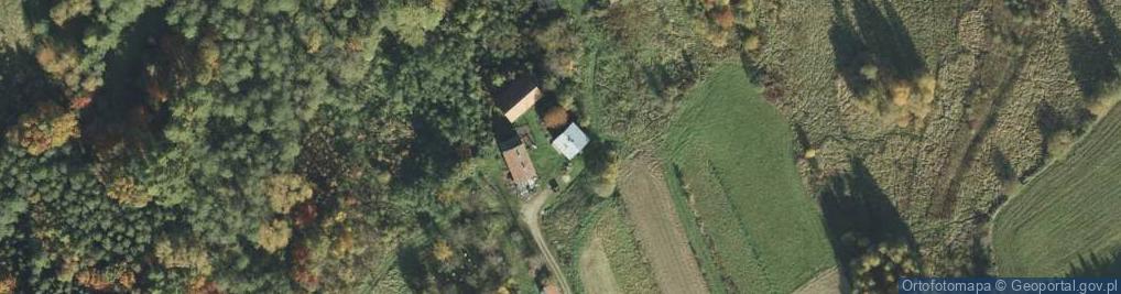 Zdjęcie satelitarne Trzemesna ul.