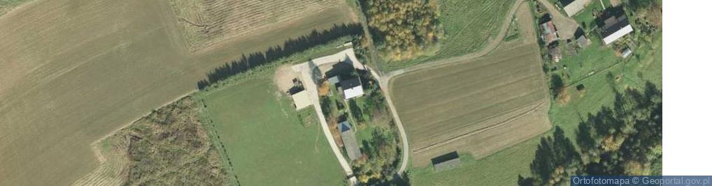 Zdjęcie satelitarne Trzemesna ul.