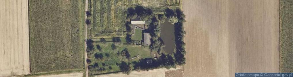 Zdjęcie satelitarne Trzemeszno ul.