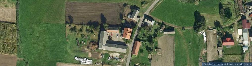 Zdjęcie satelitarne Trzemeszno ul.