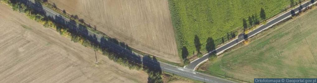 Zdjęcie satelitarne Trzemiętówko ul.