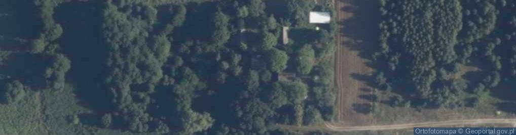 Zdjęcie satelitarne Trzemuszka ul.