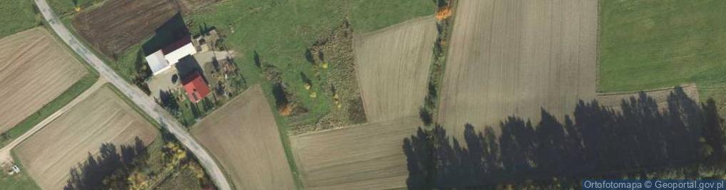 Zdjęcie satelitarne Trzetrzewina ul.