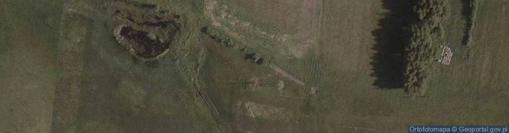 Zdjęcie satelitarne Trzmielów ul.