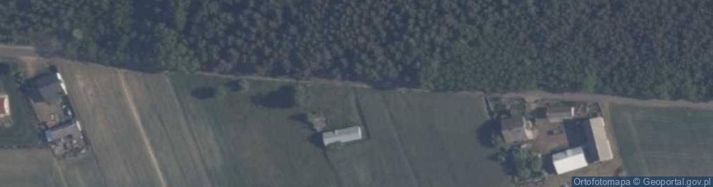 Zdjęcie satelitarne Trzymsze ul.