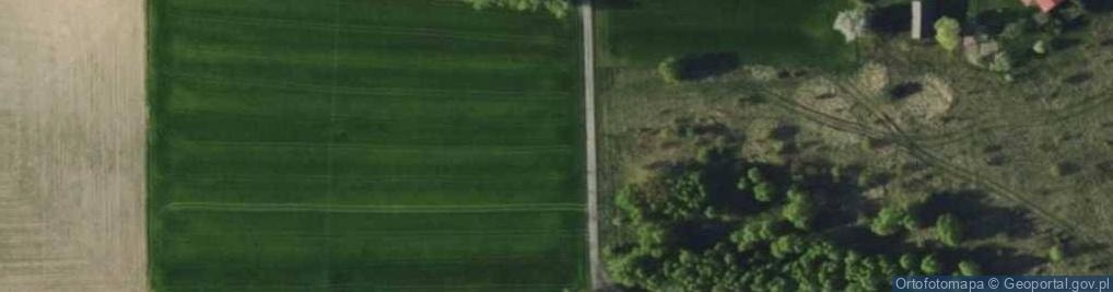 Zdjęcie satelitarne Trybunalska ul.