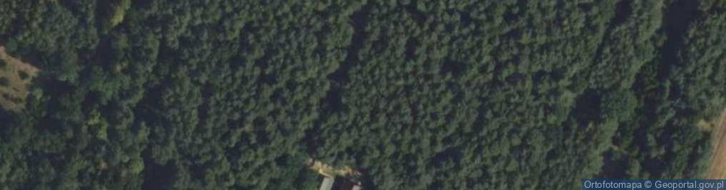 Zdjęcie satelitarne Tramwajowa ul.