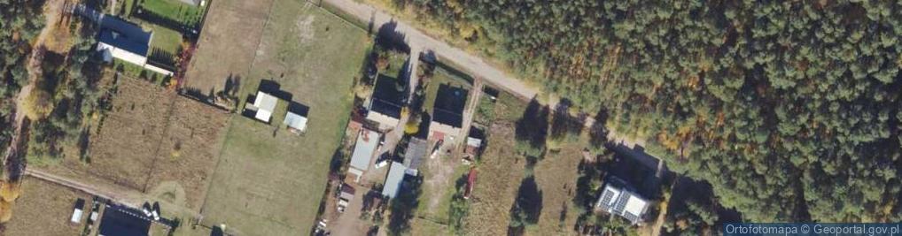 Zdjęcie satelitarne Trzciniec ul.