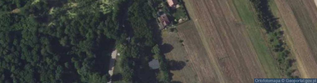 Zdjęcie satelitarne Tusińska ul.