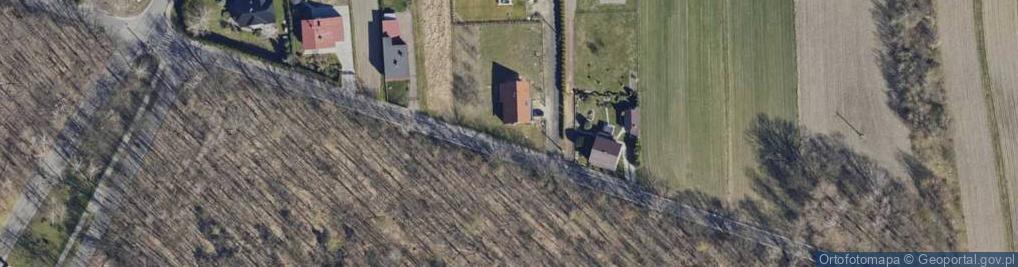 Zdjęcie satelitarne Tulipanów ul.