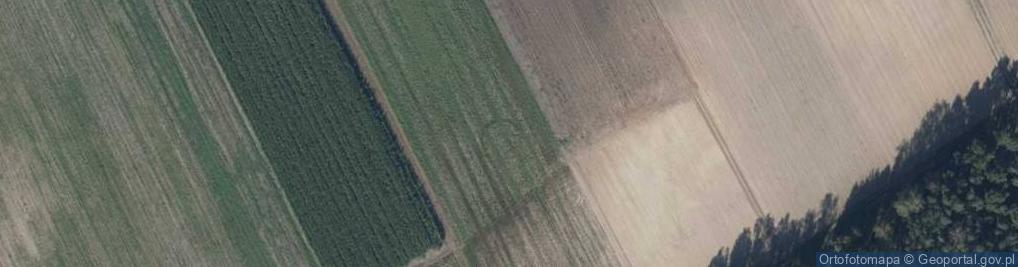 Zdjęcie satelitarne Tuchorza ul.