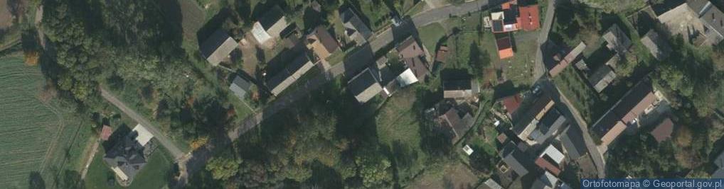 Zdjęcie satelitarne Turków ul.