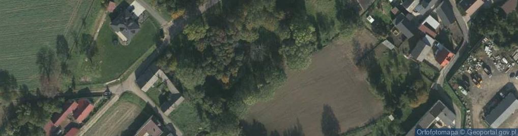 Zdjęcie satelitarne Turków ul.