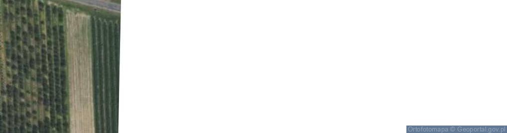 Zdjęcie satelitarne Turowa Wola ul.