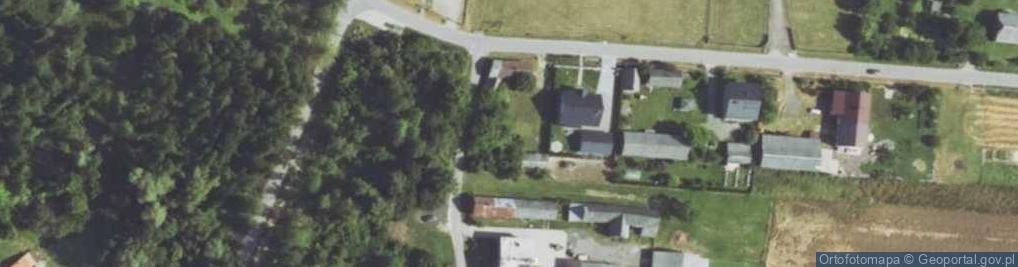 Zdjęcie satelitarne Turzyn ul.