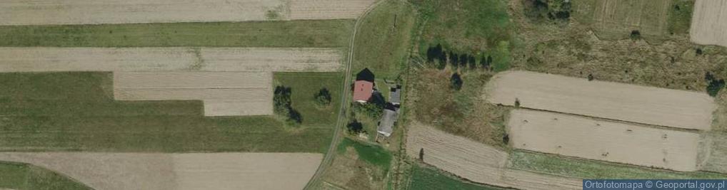 Zdjęcie satelitarne Tuszyma ul.