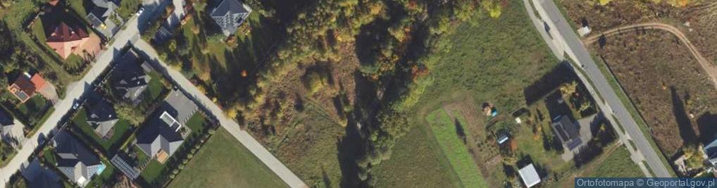 Zdjęcie satelitarne Tulipanowa ul.