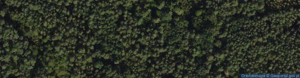 Zdjęcie satelitarne Twarda ul.