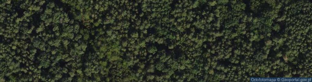 Zdjęcie satelitarne Twarda ul.