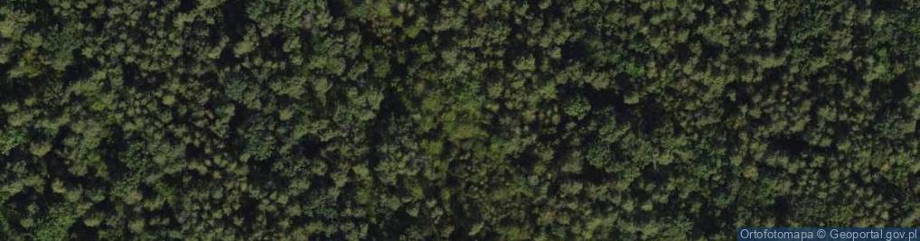 Zdjęcie satelitarne Twarda ul.