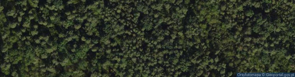 Zdjęcie satelitarne Twarda ul.