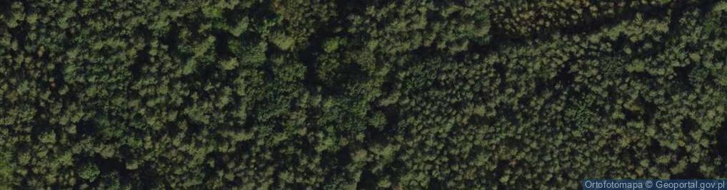 Zdjęcie satelitarne Twarda ul.