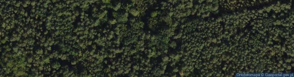 Zdjęcie satelitarne Twarda ul.