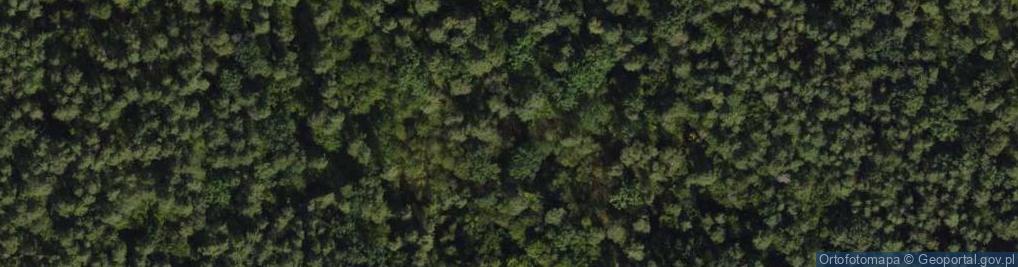 Zdjęcie satelitarne Twarda ul.