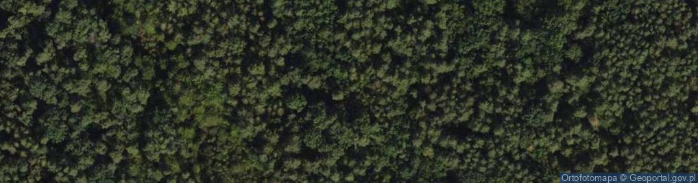 Zdjęcie satelitarne Twarda ul.