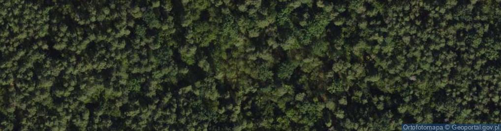 Zdjęcie satelitarne Twarda ul.