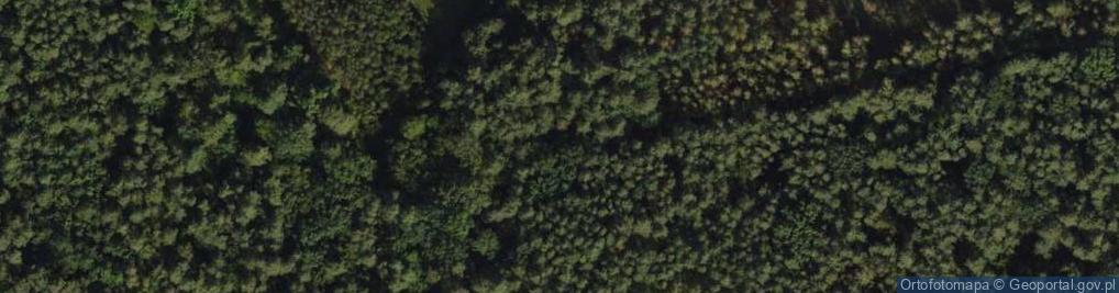 Zdjęcie satelitarne Twarda ul.