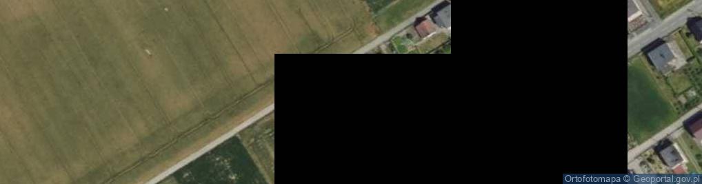 Zdjęcie satelitarne Tworkowska ul.