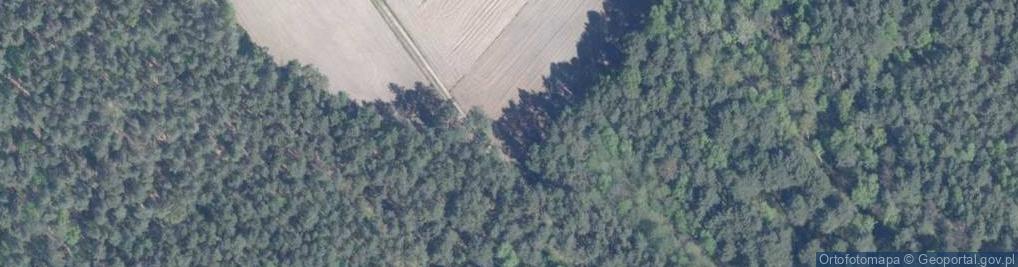 Zdjęcie satelitarne Tworkowice ul.