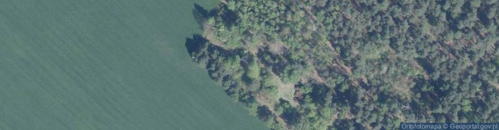 Zdjęcie satelitarne Tworkowice ul.