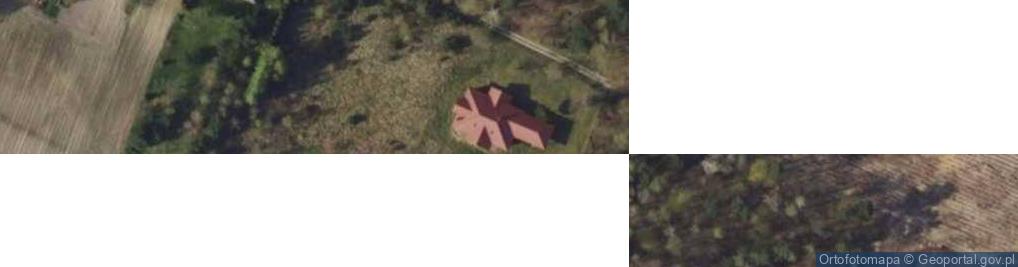 Zdjęcie satelitarne Tworzyjanki ul.