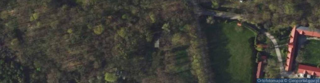 Zdjęcie satelitarne Tworzyjanki ul.