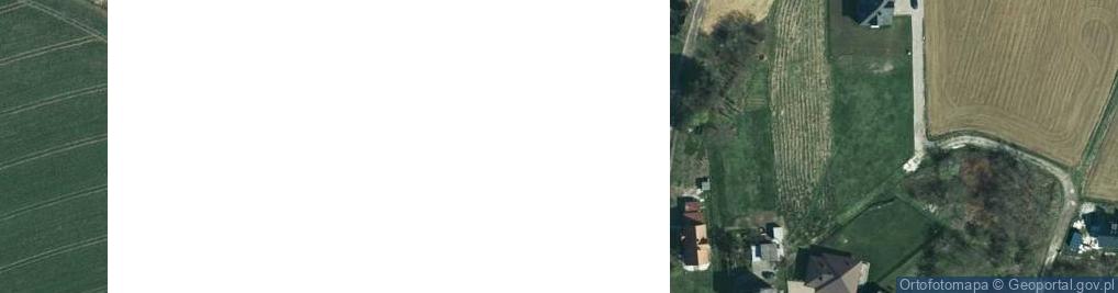 Zdjęcie satelitarne Tyniecka ul.