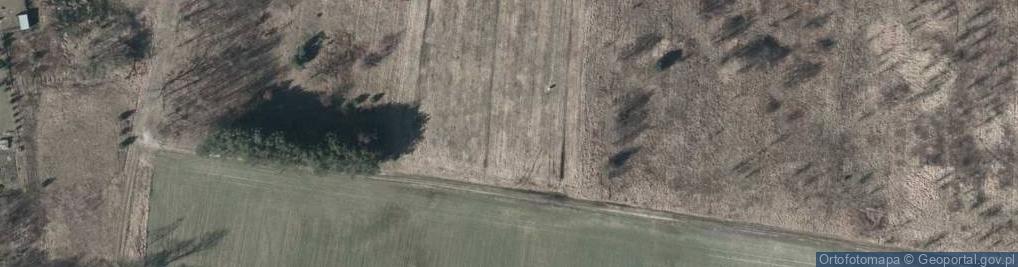 Zdjęcie satelitarne Tyborów ul.