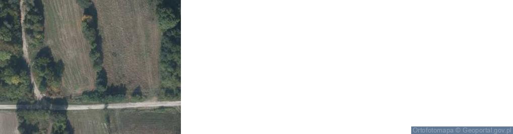 Zdjęcie satelitarne Tymin ul.
