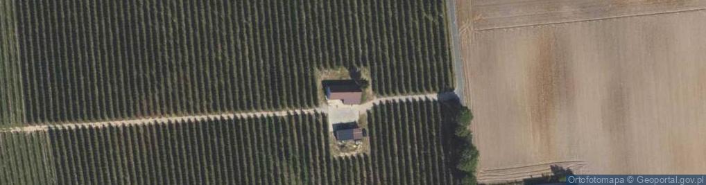 Zdjęcie satelitarne Unisławice ul.